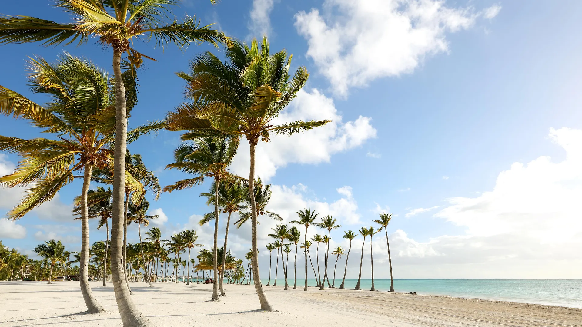 Resort Trs Cap Cana Waterfront & Marina Hotel (Adults Only) Punta Cana